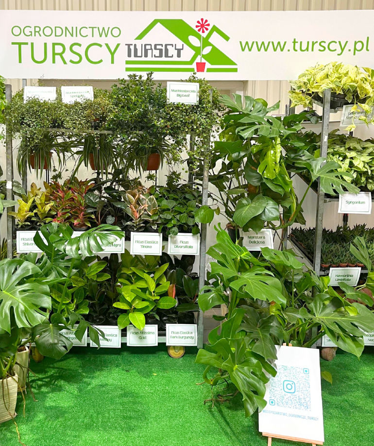 Turscy1_